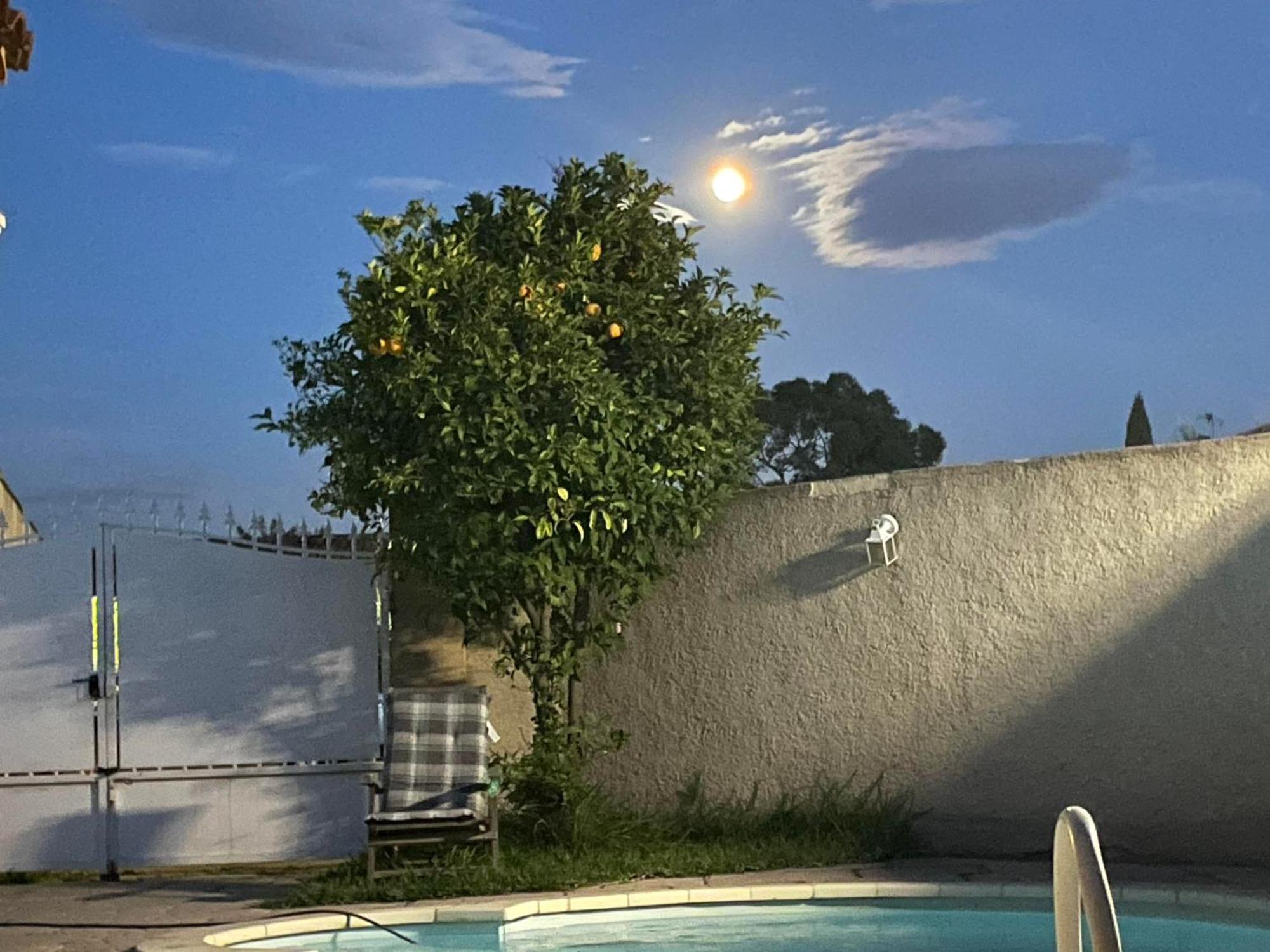 Appartement Bouvreuil Fos-sur-Mer Dış mekan fotoğraf